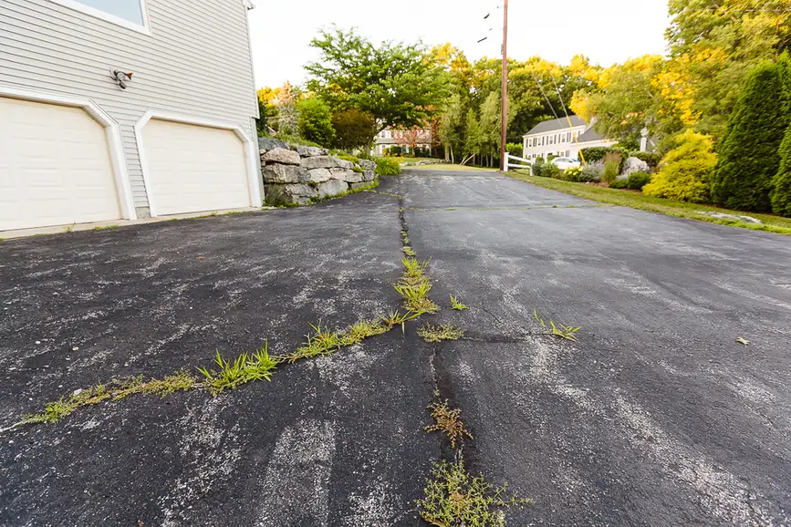 Cracked suburban street with weeds growing through the cracks, garages on the left and houses visible in the distance.